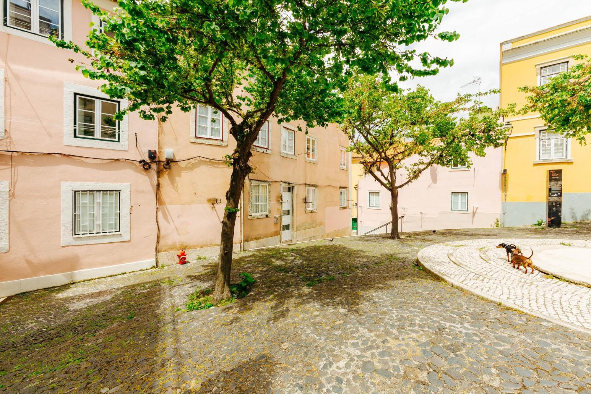 Rent4Rest Lisbon Downtown Tiny Studio Apartments Dış mekan fotoğraf